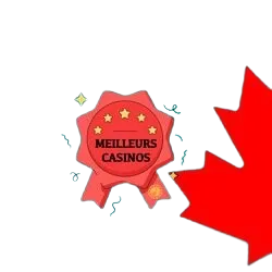 Les meilleurs casinos Echeck au Canada pour des jeux d'argent réel Les meilleurs casinos Echeck au Canada pour des jeux d'argent réel